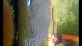 Gary Seal Launch Boroughbridge