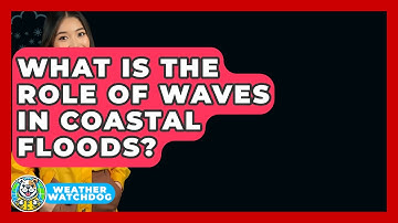 What Is The Role Of Waves In Coastal Floods? - Weather Watchdog