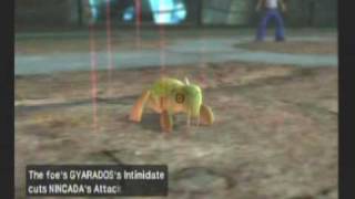 PBR Legendary Wannabees Episode 9: Nincada