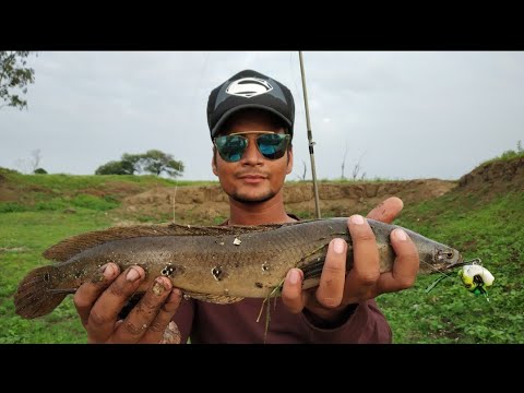 camera iphone 8 plus apk Aamir khan caught big snakehead