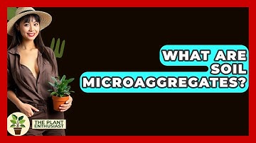 What Are Soil Microaggregates? - The Plant Enthusiast