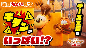 ＜🧀チーズまみれだぜ😽＞映画『ねこのガーフィールド』8月16日（金）公開！