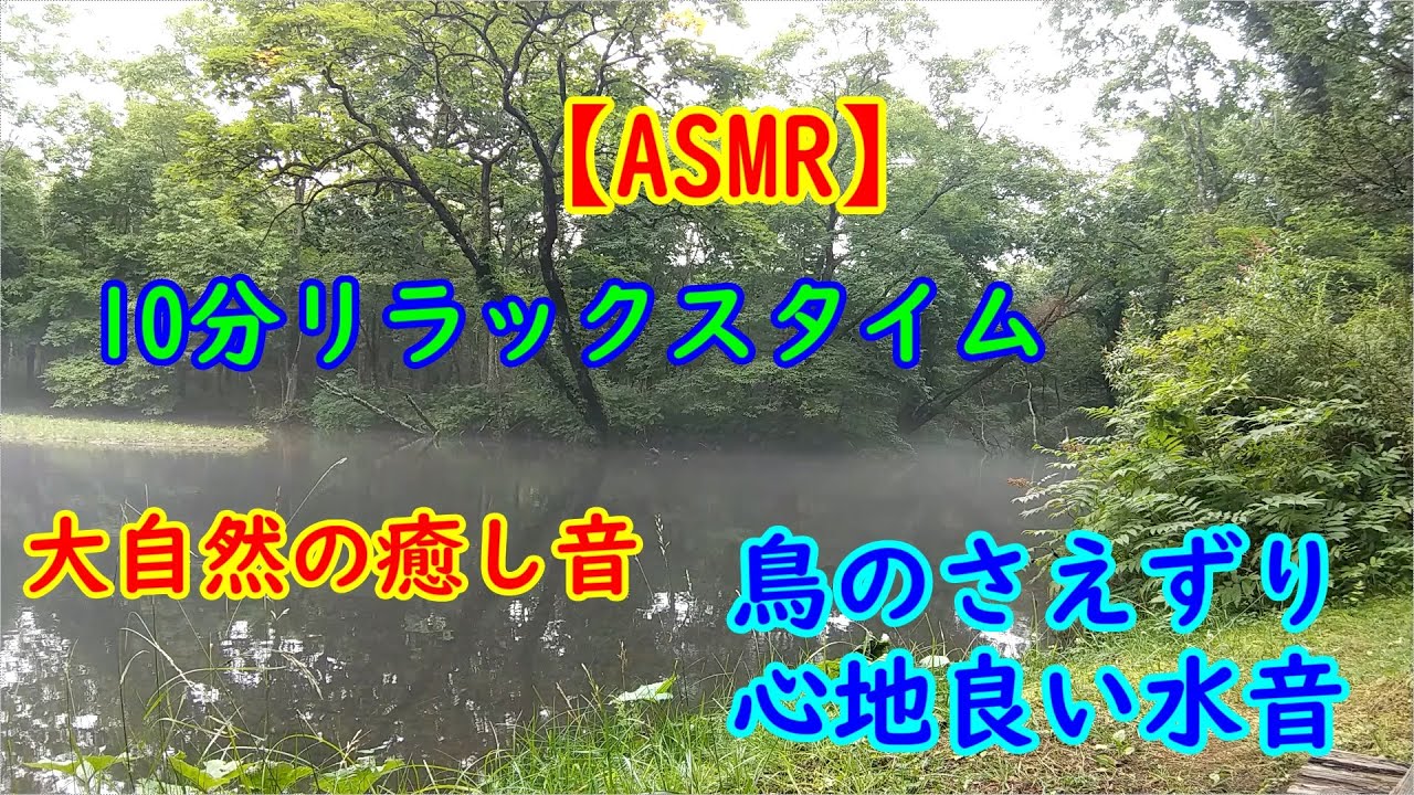 【ASMR】[自然] 大自然の中で癒し音 水音と鳥のさえずり リラックス効果 作業用10分 自然音 - YouTube