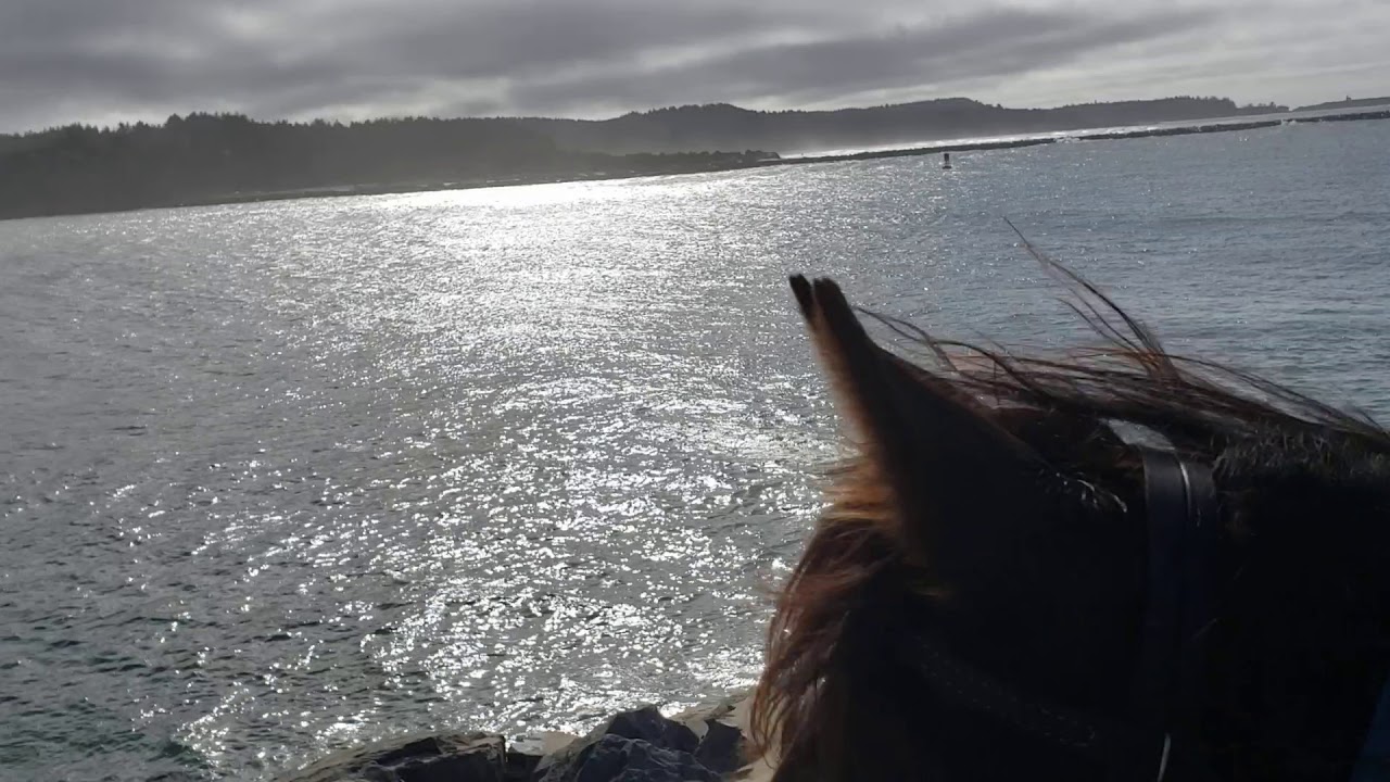 The end of the continental US YouTube