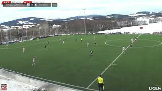 FC Pinzgau Saalfelden Frauen vs SVK Wildcats Profile