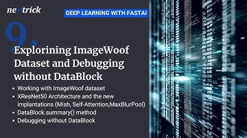 Lesson 4 Part 2 - fastai - Exploring ImageWoof dataset and Debugging without the DataBlock