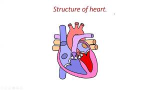 Unit 16:- Human blood circulatory system