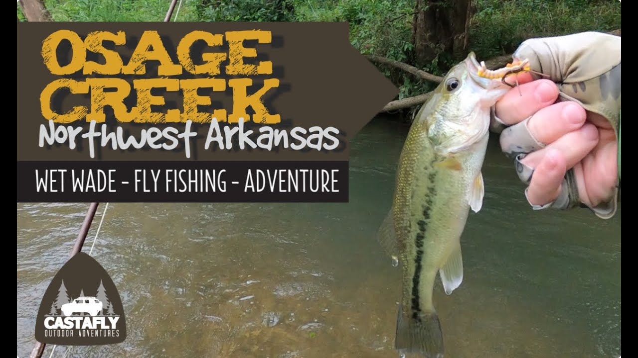Wet Wade Fly Fishing Adventure Osage Creek Northwest Arkansas