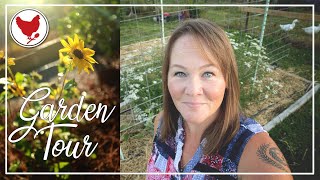 GARDEN TOUR - Week 1 | Cosmopolitan Cornbread
