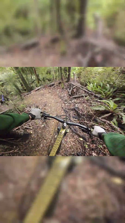 These black roots are like ice