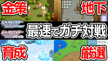 ダイパアブソル