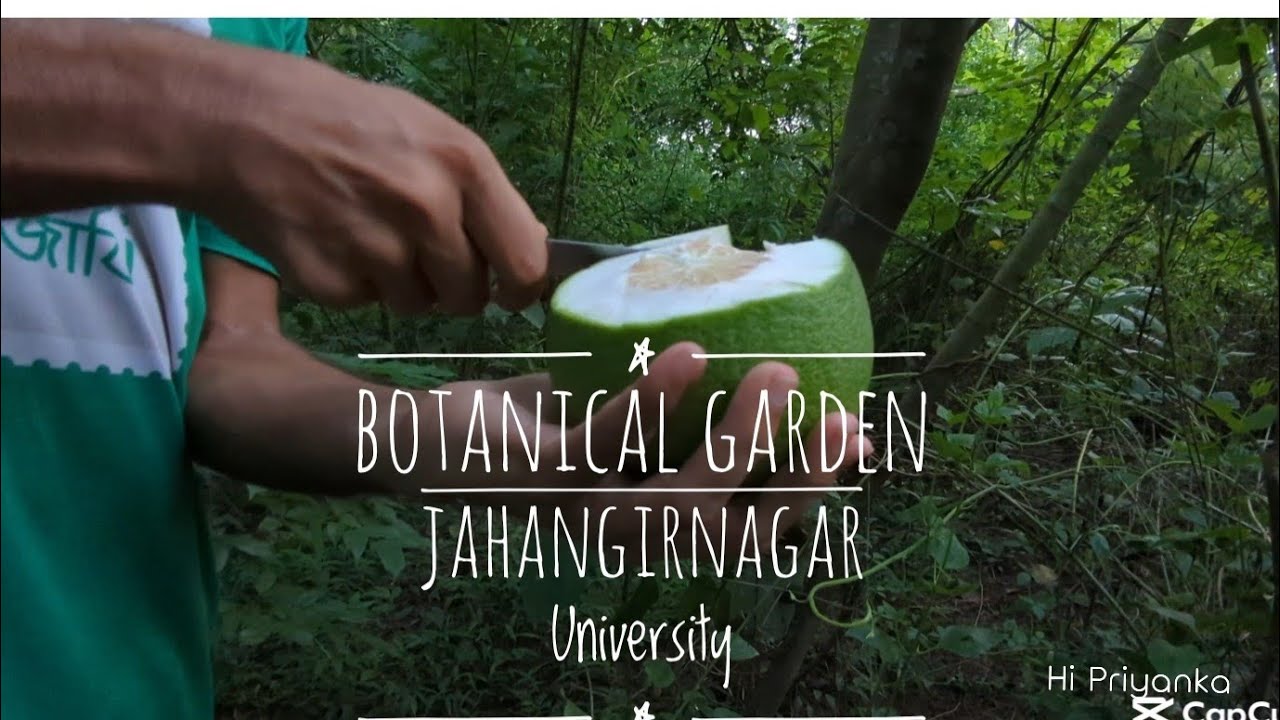 জাহাঙ্গীরনগর বিশ্ববিদ্যালয়ের বোটানিক্যাল গার্ডেন 