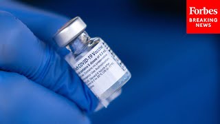 FDA Advisory Panel Recommends Against Pfizer Covid Boosters—Except For People Over 65