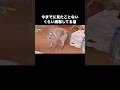 お母ちゃんが窓の外で洗濯物干してたら突然やんのか発動した猫 #猫 #やんのかステップ #ブチ切れ猫 #shorts