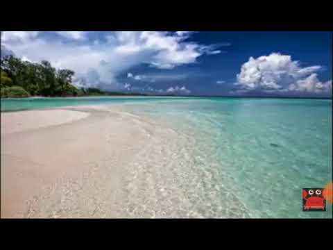 สัญญาหลอนดอก - เขียวไรย์ (TaiMan Music Audio Official)