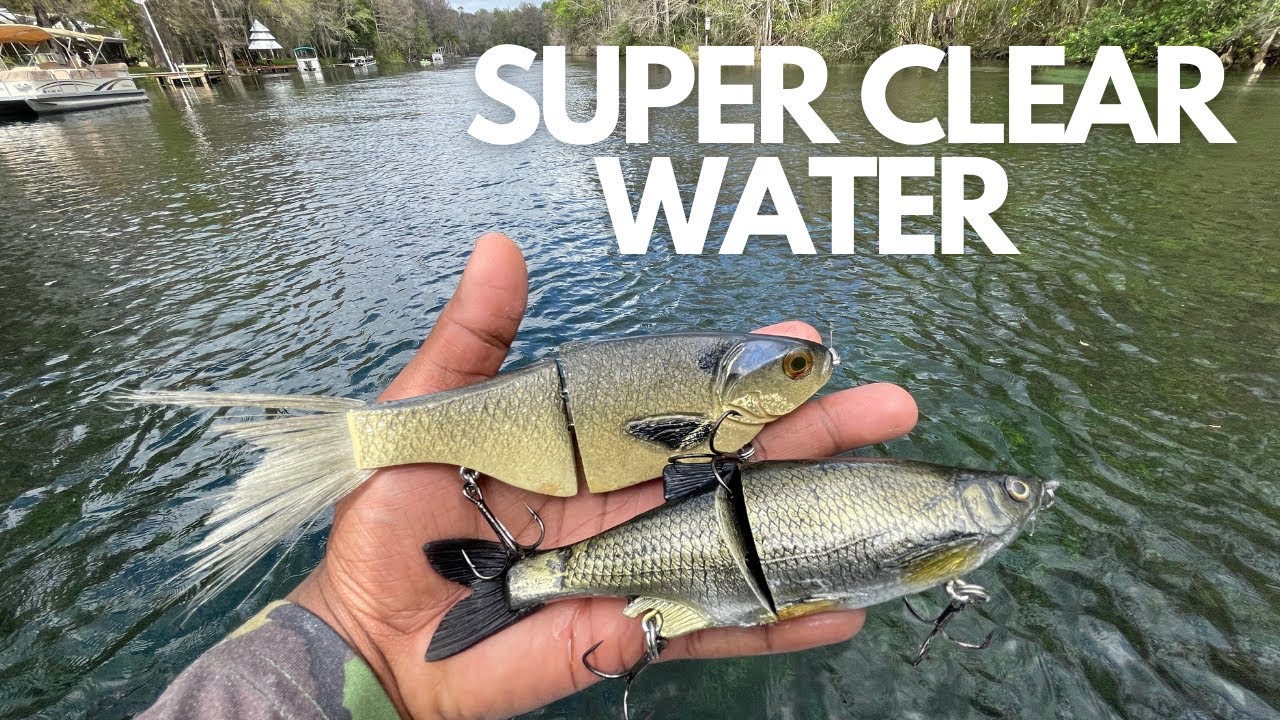 The Florida Series Day 3: Fishing Hyper Realistic SwimBaits
