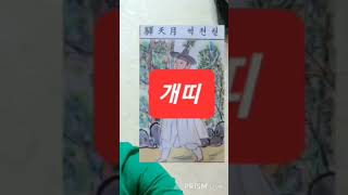 개띠 오늘의운세 2024년7월23일 화요일 운세 총운 #운세 #오늘의운세