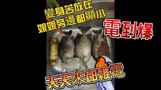 天天來天天被電 這邊的魚太恐怖了.....#堤防 #磯釣 #星點臭肚 #變身苦 #fishing #fish #練餌