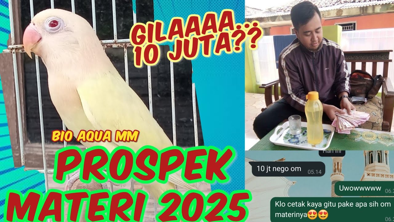 MATERI PROSPEK TAHUN 2025,UPDATE HARGA LOVEBIRD,BIO AQUA INO MM SEMAKIN ...