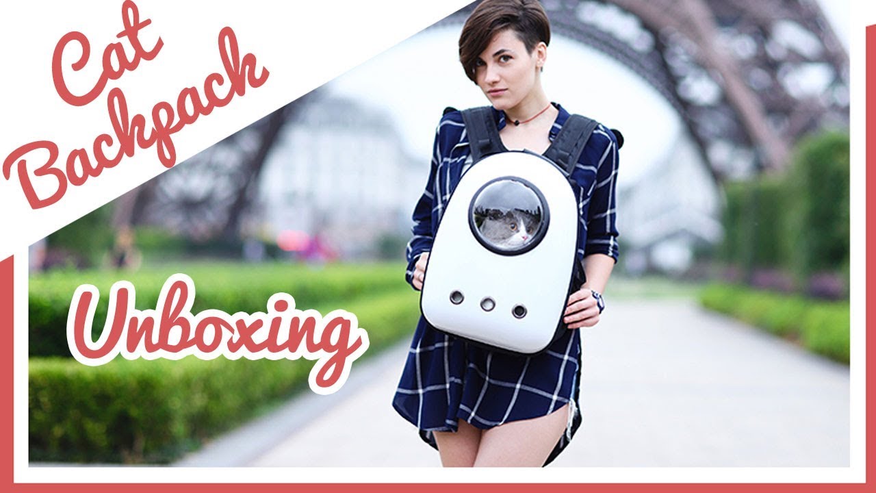 best cat bubble backpack