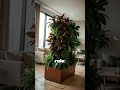 Avoid This Tower Garden Space Mistake!