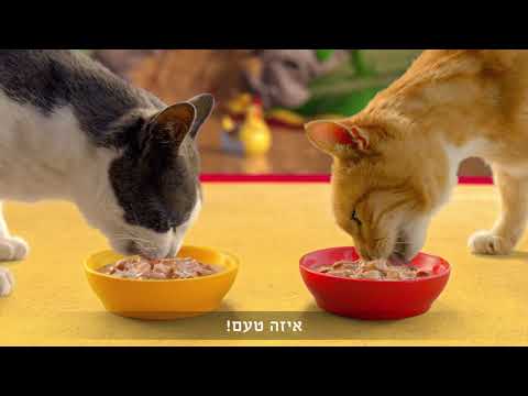 פריסקיז Extra רוטב ל-Extra טעם