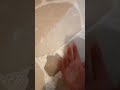 8 مارس 2023 8 مارس 2023