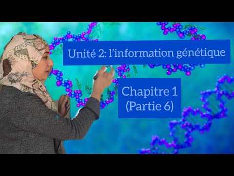 Vidéo: Qu'est-ce qui est requis pour la réplication de l'ADN?