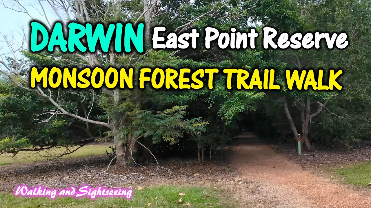 DARWIN NORTHERN TERRITORY AUSTRALIA 🇦🇺 WALKING TOUR 2025 🌳MONSOON FOREST TRAIL EAST POINT RESERVE 🦘