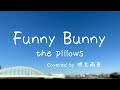 『Funny Bunny』 - the pillows - Covered by 明志雨音【Riot Blue】