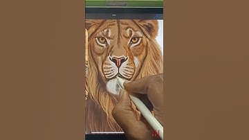 Realistic Lion Drawing in Procreate | Digital Art Time-Lapse PART 5
