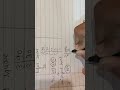 class 8th ganita prakash a square and a cube part 2