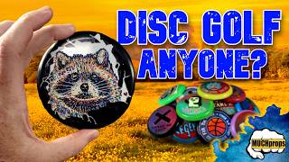 Disc Golf Anyone?