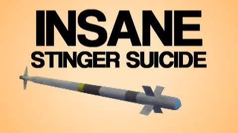 INSANE STINGER SUICIDE! MUST SEE!!