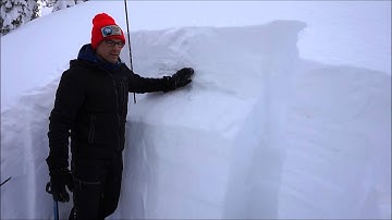 February 3, 2016 - Variability and New Surface Hoar, southern Whitefish Range