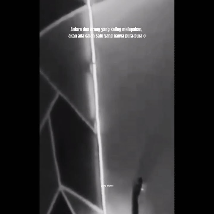 ANTARA DUA ORANG YANG SALING MELUPAKAN, AKAN ADA?🤔 || STORY WA GALAU || LAGU HARI BAHAGIA