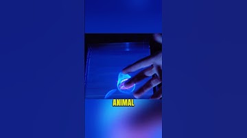 This Invention Lets You Touch Digital Object