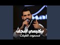 بيكيسي النجف 