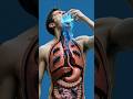 Man Eating Ice Cubes – Surprising Health Benefits &amp; Hidden Risks 🧊#ytshorts#viralshorts#ai#youtube