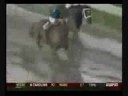 Curlin or Big Brown?