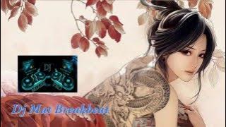 RENYLIZ DEJAVU BREAKBEAT MIXTAPE FUNKY HOUSE REMIX DUGEM 2016 EDIT BY DJ MAT    YouTube