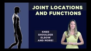 Joint Locations &amp; Functions: Knee, Shoulder, Elbow and more!