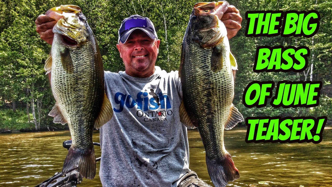 THE BIG BASS OF JUNE-TEASER!