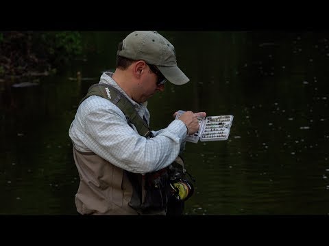Fly Fishing with