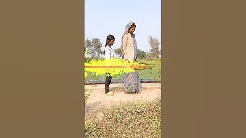 हर हर महादेव 🙏#shorts #shortsvideo #mahadev #status #viralshorts #viralvideo #ytshorts