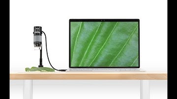 The Plugable 250x USB 2.0 Digital Microscope (USB2-MICRO-250X)