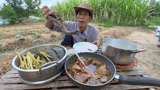 NGON DỮ DỘI CÁ ÁO GIÁP HẤP SẢ BI.A  CÁ PHI KHO TRÁI GIÁC THÈM LẮM 1 BỮA CƠM QUÊ