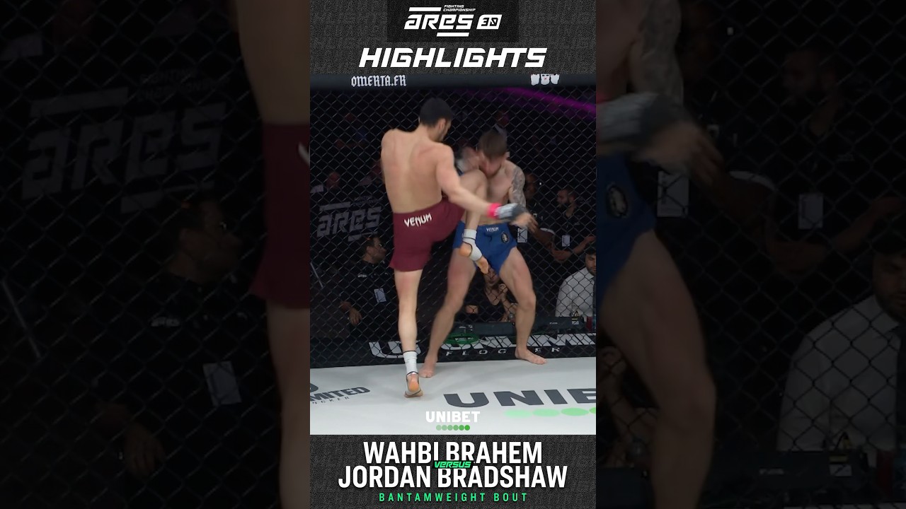 𝐇𝐈𝐆𝐇𝐋𝐈𝐆𝐇𝐓𝐒 