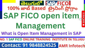 SAP FICO Open item management Configuration in Telugu - Month End Provisions - SAP FICO In Telugu