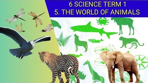 6 Science | Term 1 || Unit 5 | The  World of Animals
